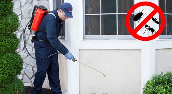 Bozdoğan Kemirgen İlaçlama böcek ilaçlama ve haşere kontrolü — ilaclama-tr.com